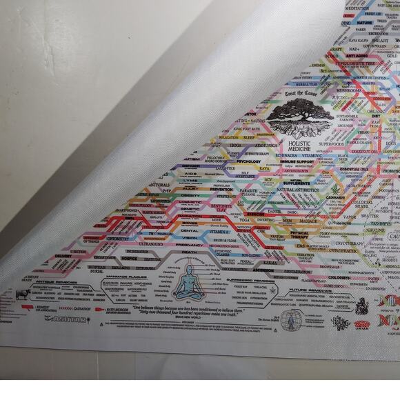 Holistic Medicine vs Big Pharma Flowchart Canvas Print (Unframed, 18x12") - Picture 4 of 4